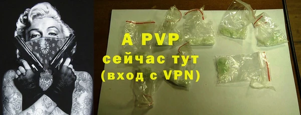 стаф Вяземский