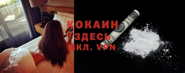 стаф Вяземский