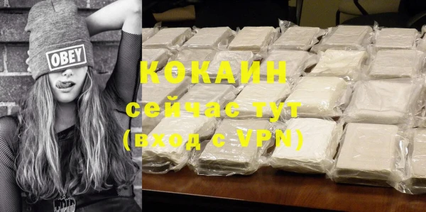 стаф Вяземский