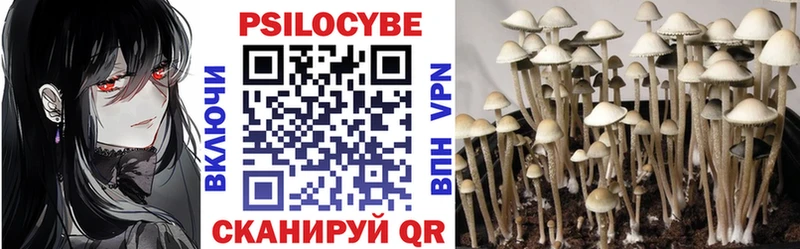 ОМГ ОМГ зеркало  Жердевка  Псилоцибиновые грибы Psilocybe  что такое наркотик 
